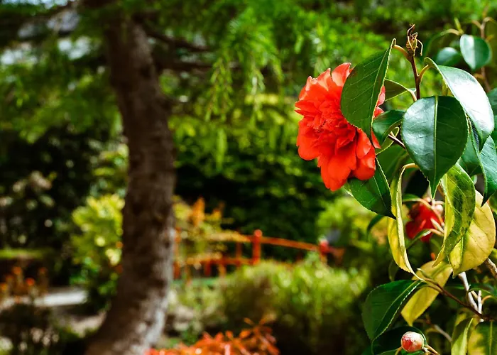 Hotel Roganstown & Country Club 4*